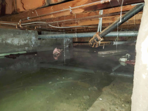 Water damage restoration mold remediation in Peebles, OH