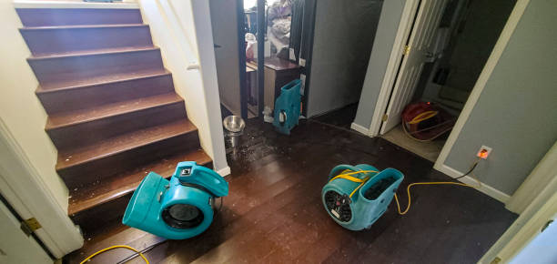 Best Water damage restoration near me  in Peebles, OH