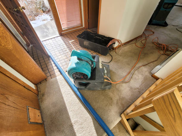 Best Fire Damage Restoration  in Peebles, OH