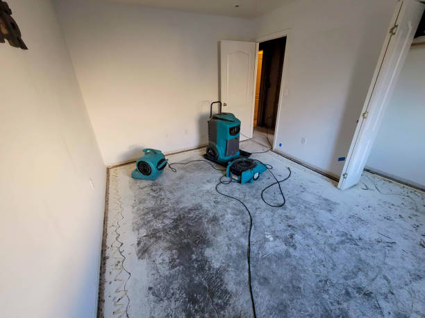 Reliable Peebles, OH Water damage restoration Solutions