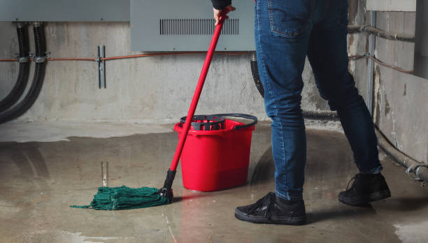 Best Emergency water damage restoration  in Peebles, OH