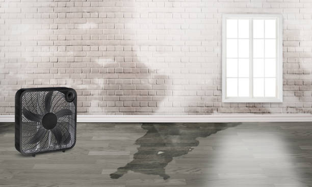 Best 24/7 water damage repair  in Peebles, OH