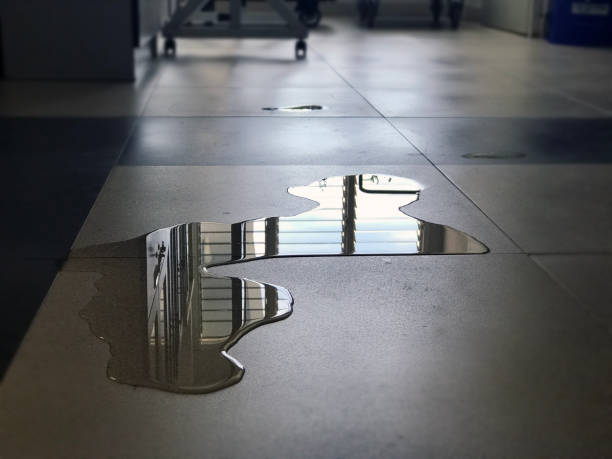 Best 24-hour water damage restoration  in Peebles, OH