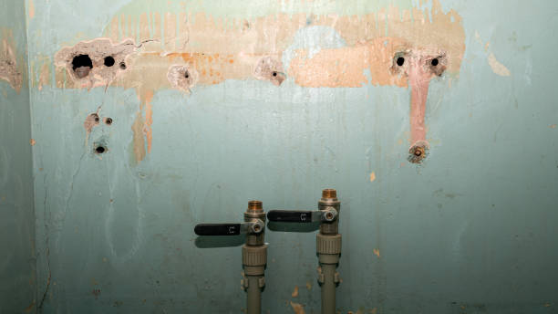 Best Mold removal after water damage  in Peebles, OH