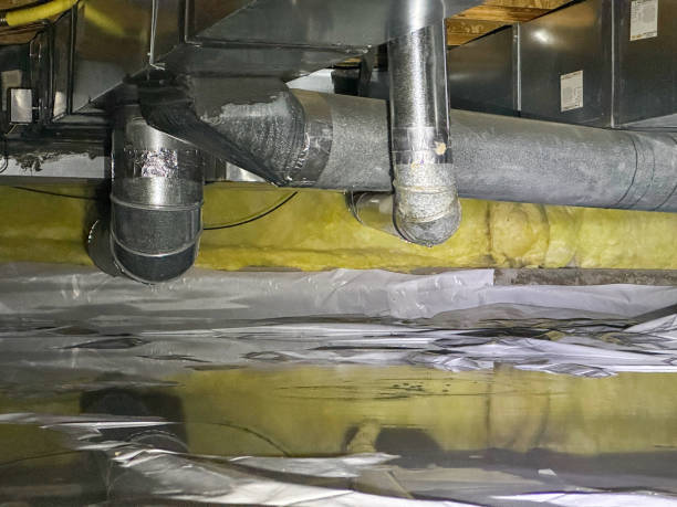 Best Flood damage cleanup  in Peebles, OH