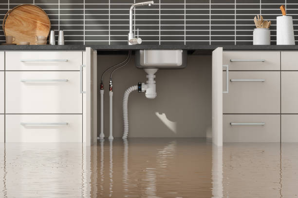 Best Local water damage restoration  in Peebles, OH