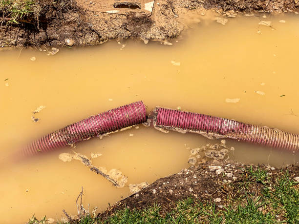 Best Local water damage restoration  in Peebles, OH