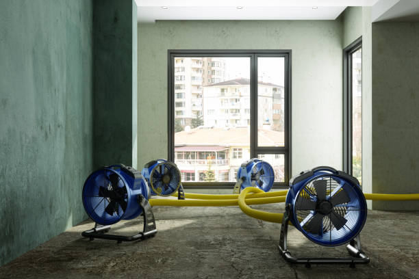 24/7 water damage repair in Peebles, OH